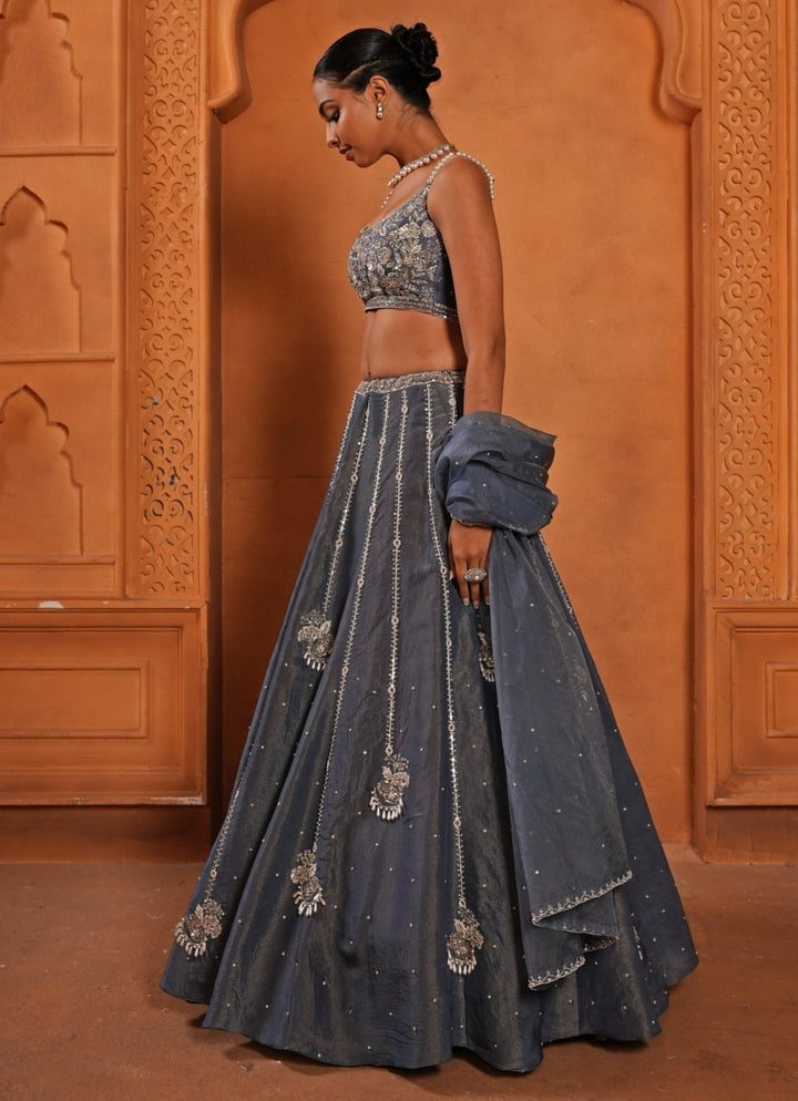 Greyish Blue Zari Silk Lehenga Enamour by Radha - Fabilicious Fashion