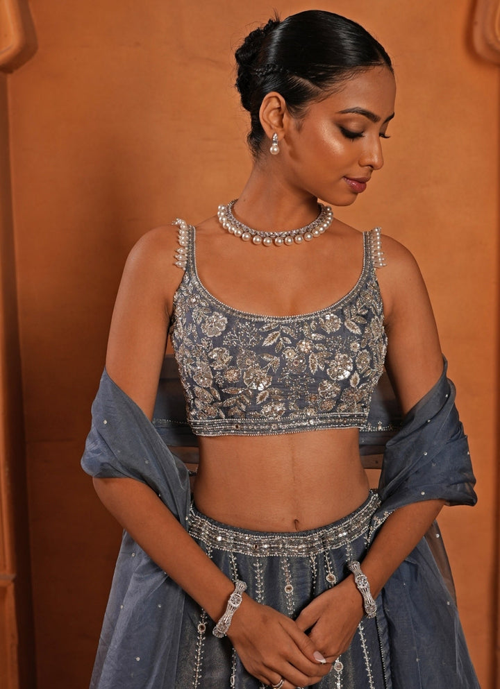 Greyish Blue Zari Silk Lehenga Enamour by Radha - Fabilicious Fashion