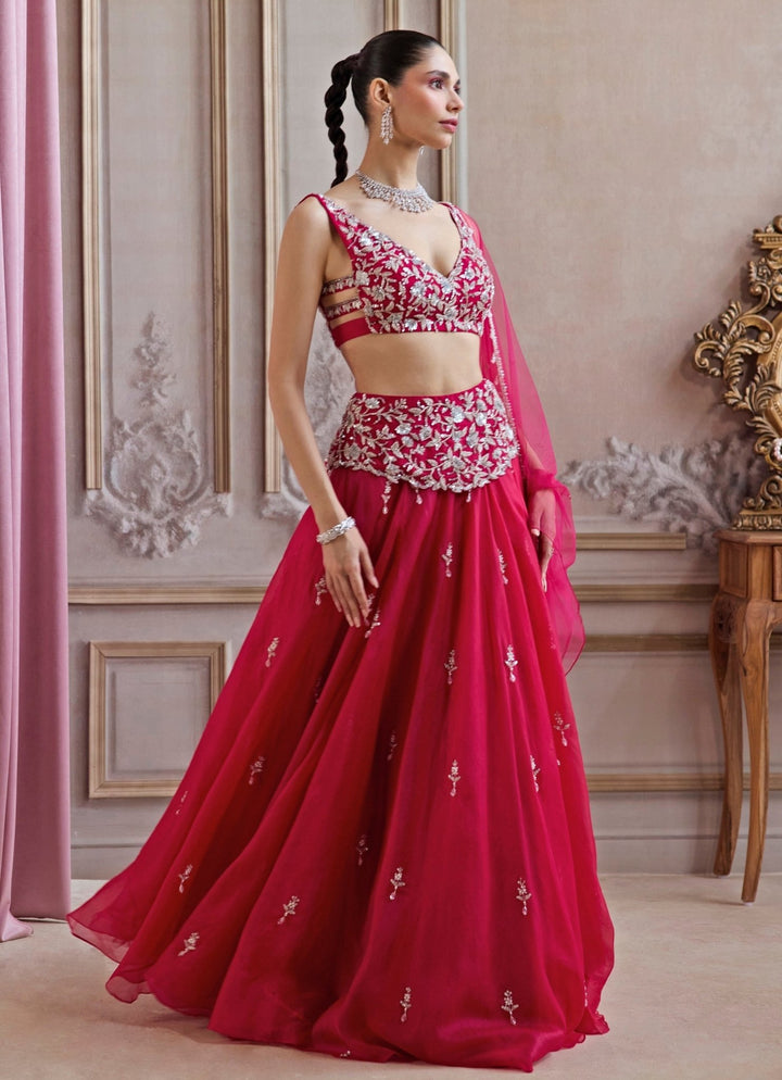 Hot Pink Embroidered Organza Lehenga Set Sanya Gulati - Fabilicious Fashion