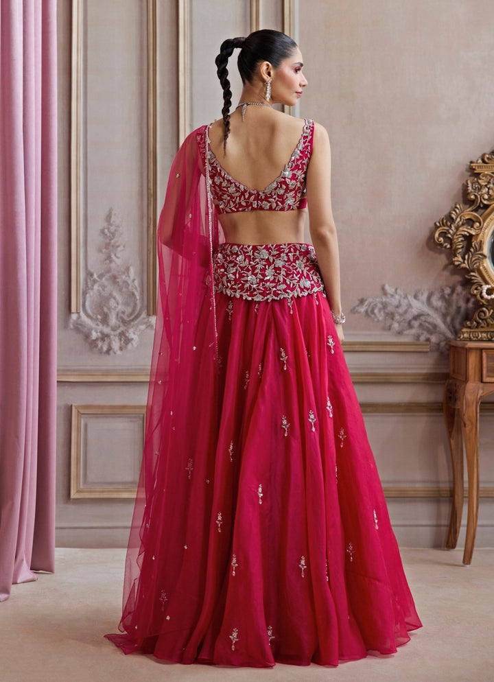 Hot Pink Embroidered Organza Lehenga Set Sanya Gulati - Fabilicious Fashion