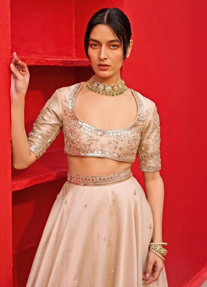 Ivory And Gold Embroidered Tissue Lehenga Set Zoon Tribe - Fabilicious Fashion