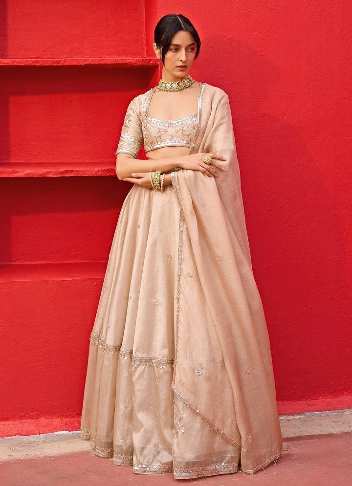 Ivory And Gold Embroidered Tissue Lehenga Set Zoon Tribe - Fabilicious Fashion