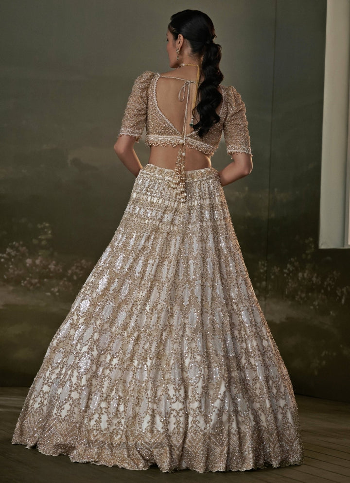 Ivory And Gold Soft Net Lehenga Set Nitika Gujral - Fabilicious Fashion
