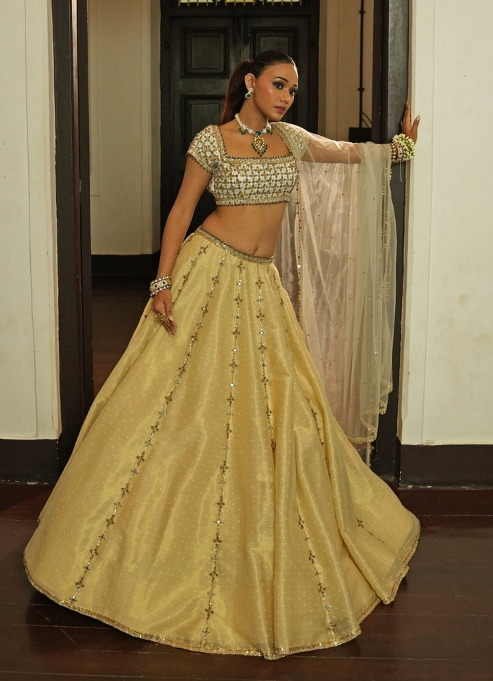 Ivory And Gold Zari Silk Lehenga Set Enamour by Radha - Fabilicious Fashion