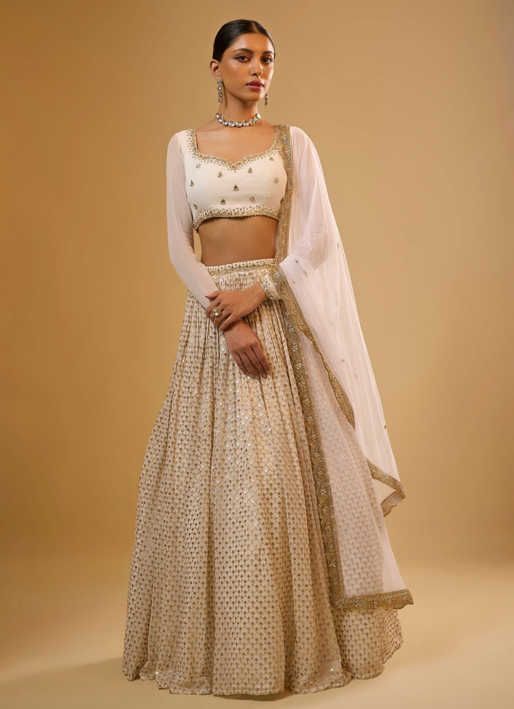 Ivory Embroidered Georgette Lehenga Set Renee Label - Fabilicious Fashion