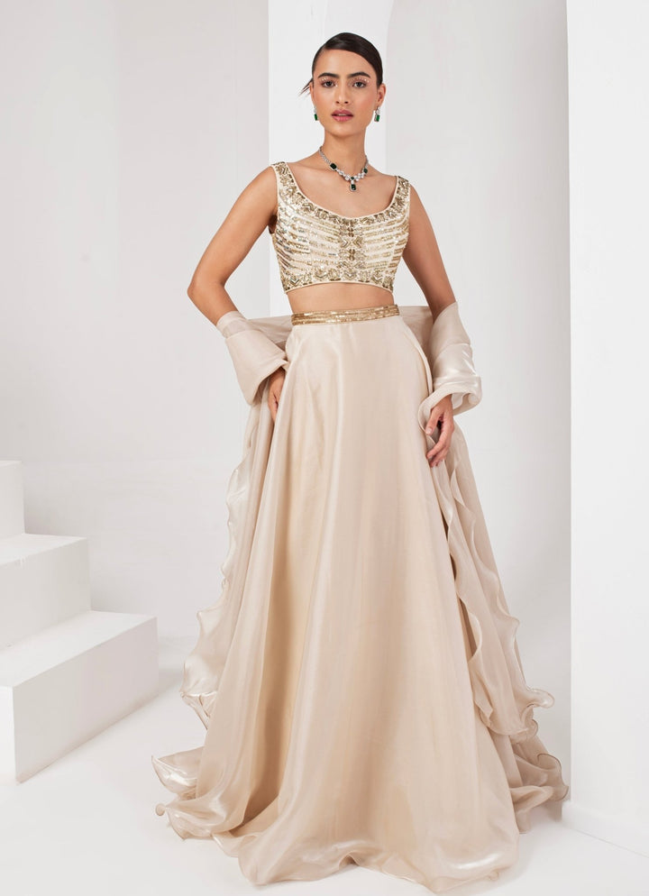 Ivory Embroidered Organza Lehenga set Akara - Fabilicious Fashion