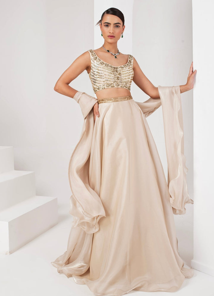 Ivory Embroidered Organza Lehenga set Akara - Fabilicious Fashion