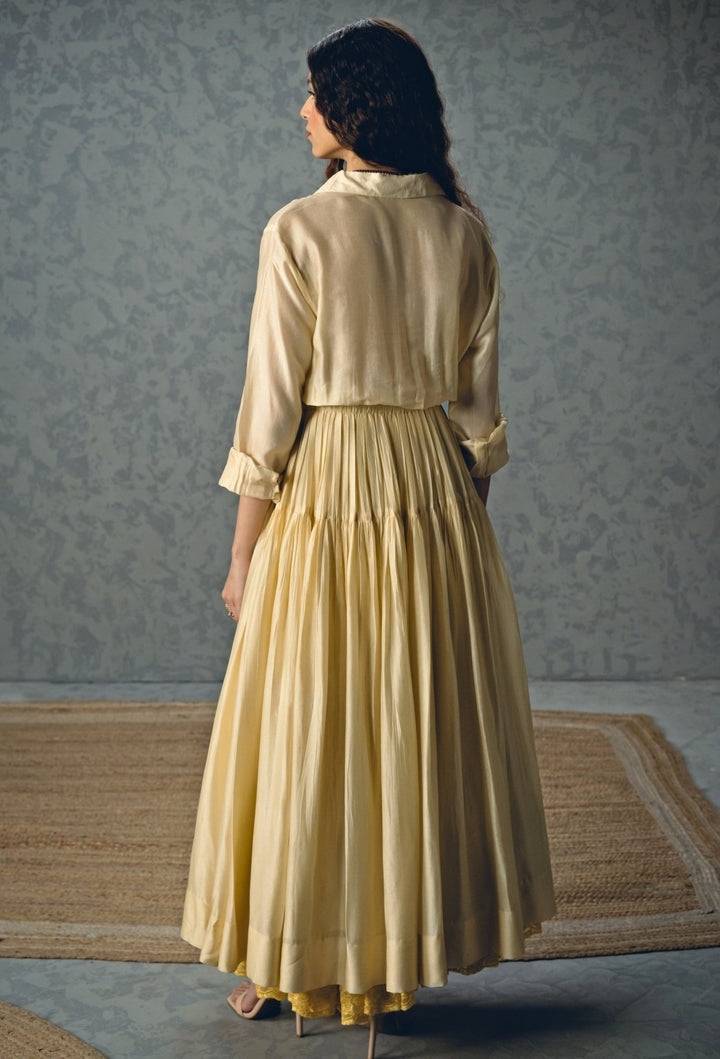 Paulmi and Harsh X Ease Ivory Embroidered Silk DressFabilicious Fashion