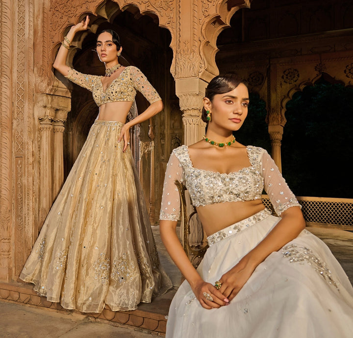 Ivory Embroidered Silk Organza Lehenga Set Zoon Tribe - Fabilicious Fashion