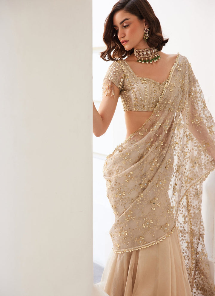Ivory Gold Embroidered Pure Silk Tissue Predraped Saree With Veil Sanya Gulati - Fabilicious Fashion
