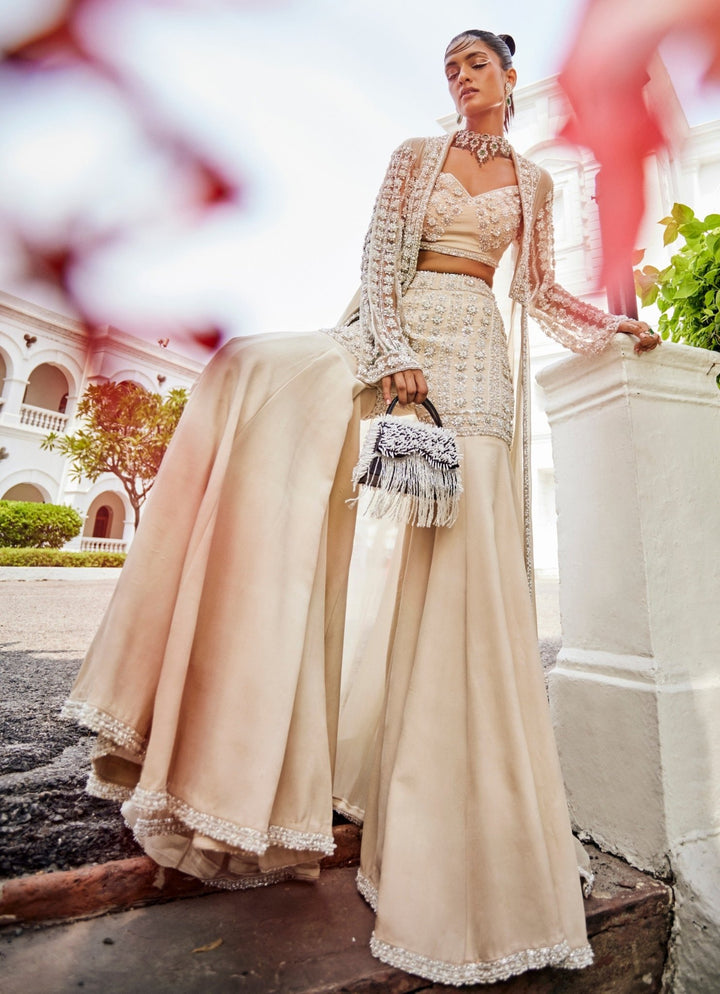 Ivory Grey Embroidered Bustier Pallazo Set With Jacket Mani Bhatia - Fabilicious Fashion