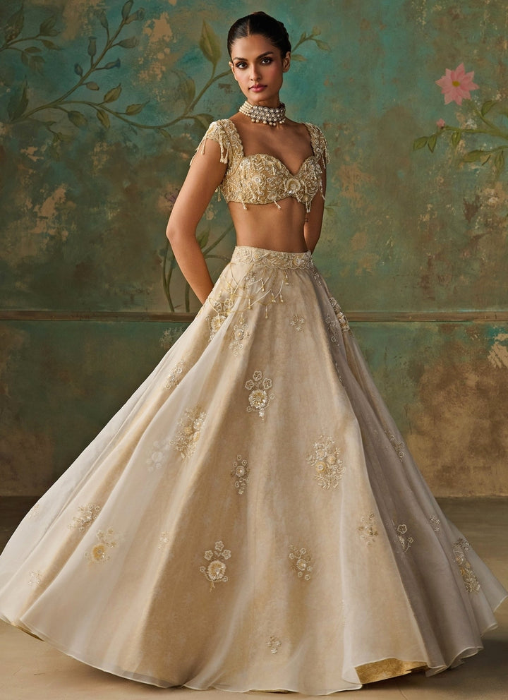 Zoon Tribe Ivory Silk Organza Lehenga SetFabilicious Fashion