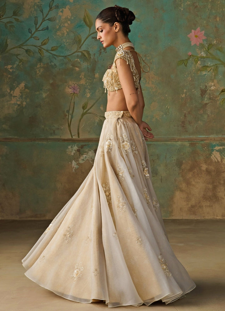 Zoon Tribe Ivory Silk Organza Lehenga SetFabilicious Fashion
