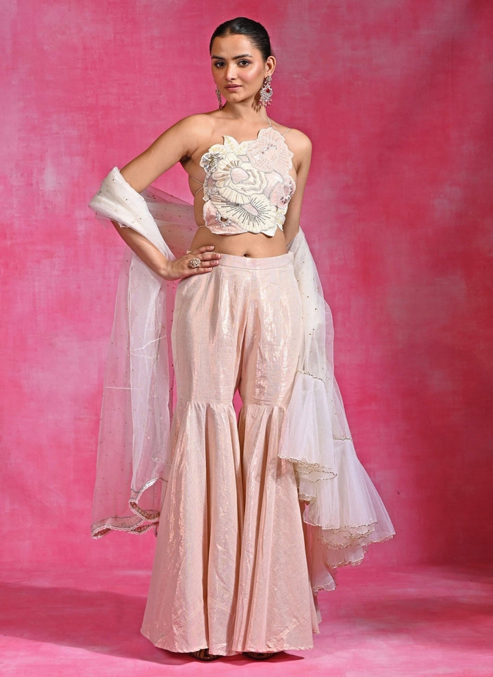 Rishi and Vibhuti Ivory Soft Net Pant Saree SetFabilicious Fashion