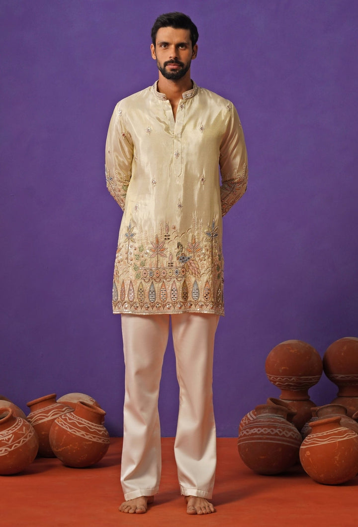 Ivory Tissue Silk Embroidered Short Kurta Set Kalpraag - Fabilicious Fashion