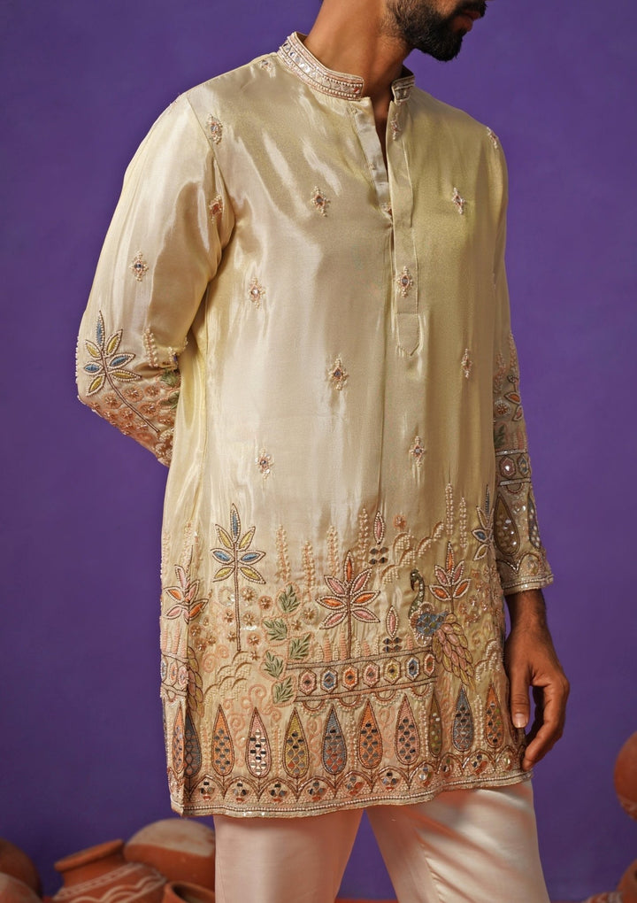 Ivory Tissue Silk Embroidered Short Kurta Set Kalpraag - Fabilicious Fashion