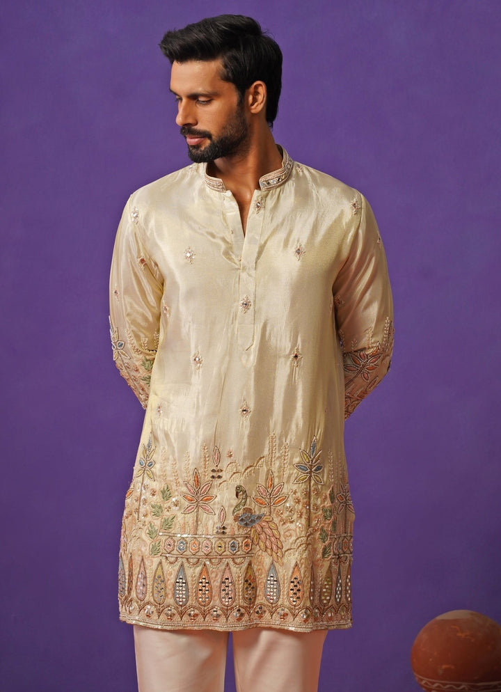 Ivory Tissue Silk Embroidered Short Kurta Set Kalpraag - Fabilicious Fashion