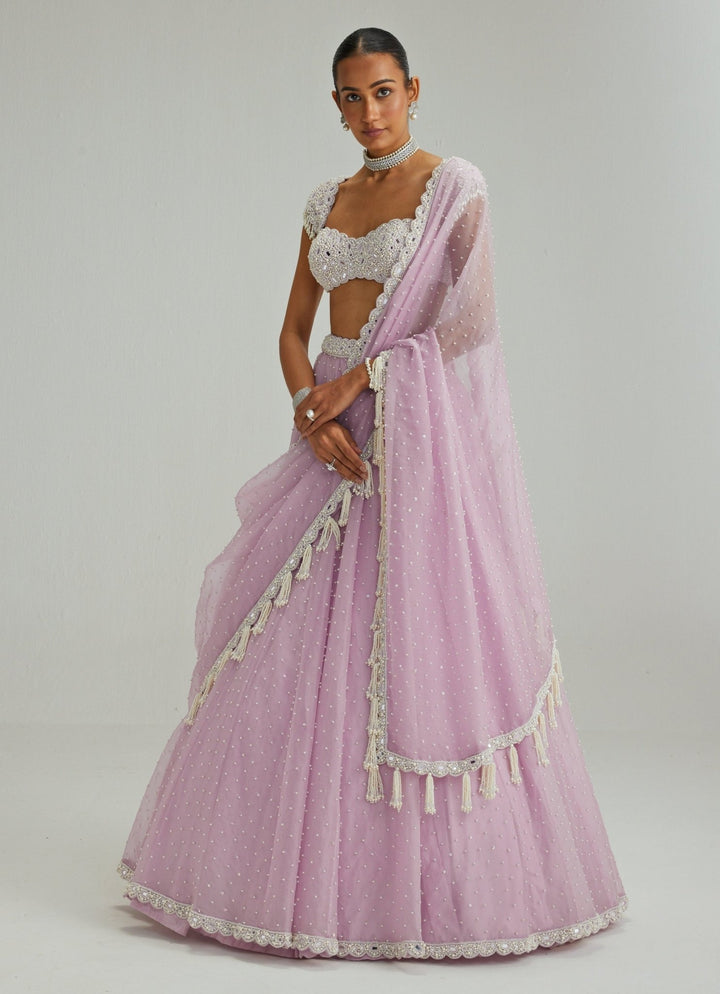Lavender Pearl Embroidered Organza Lehenga Set Vvani by Vani Vats - Fabilicious Fashion