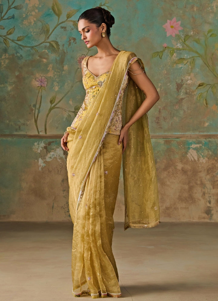Zoon Tribe Lime Green Silk Tissue Saree With CorsetFabilicious Fashion