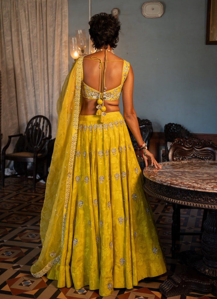 Lime Yellow Embroidered Jacquard Lehenga Set Paulmi and Harsh - Fabilicious Fashion
