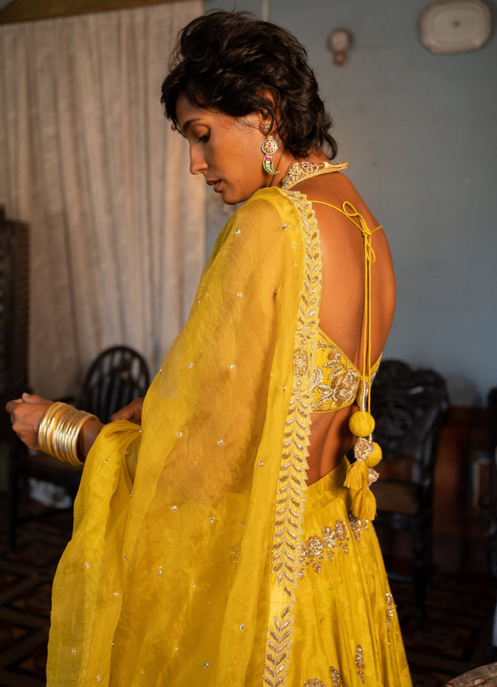 Lime Yellow Embroidered Jacquard Lehenga Set Paulmi and Harsh - Fabilicious Fashion