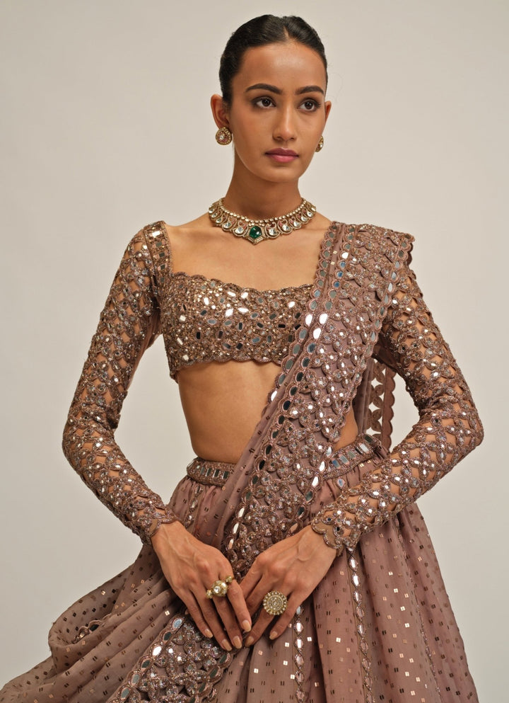 Vvani by Vani Vats Metallic Brown Embroidered Organza LehengaFabilicious Fashion
