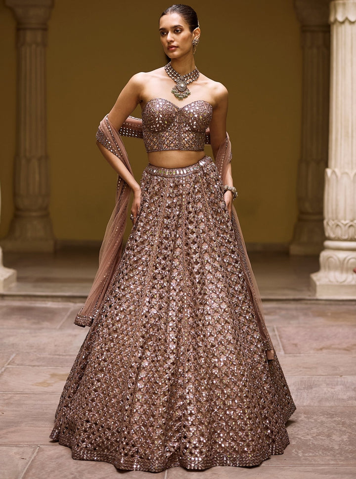 Vvani by Vani Vats Metallic Brown Floral Georgette LehengaFabilicious Fashion