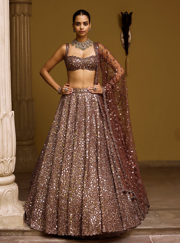 Vvani by Vani Vats Metallic Brown Mirror Crepe LehengaFabilicious Fashion