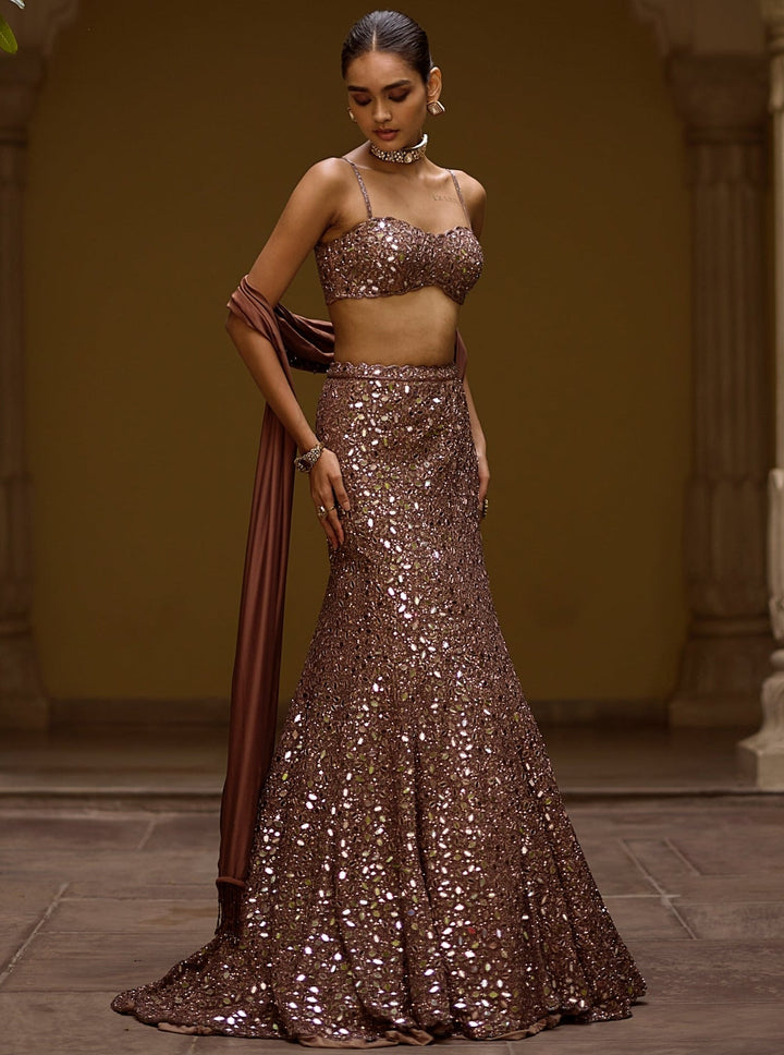 Vvani by Vani Vats Metallic Brown Soft Net Mermaid LehengaFabilicious Fashion