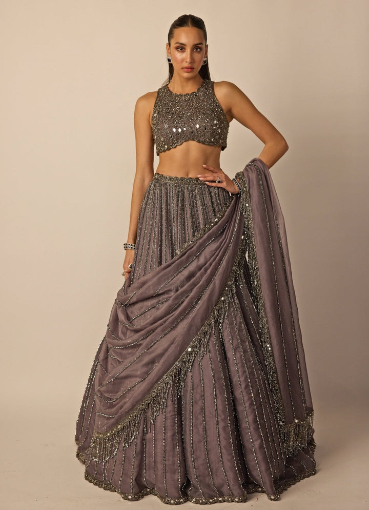 Metallic Grey Linear Organza Lehenga Set Vvani by Vani Vats - Fabilicious Fashion