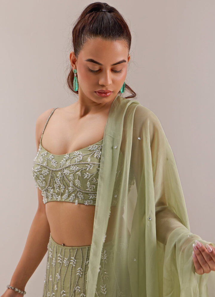 Mint Green Embellished Organza Lehenga Silky Bindra - Fabilicious Fashion
