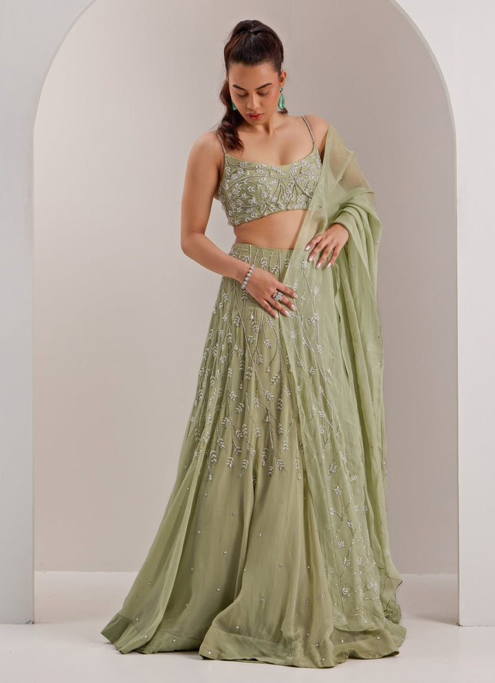 Mint Green Embellished Organza Lehenga Silky Bindra - Fabilicious Fashion