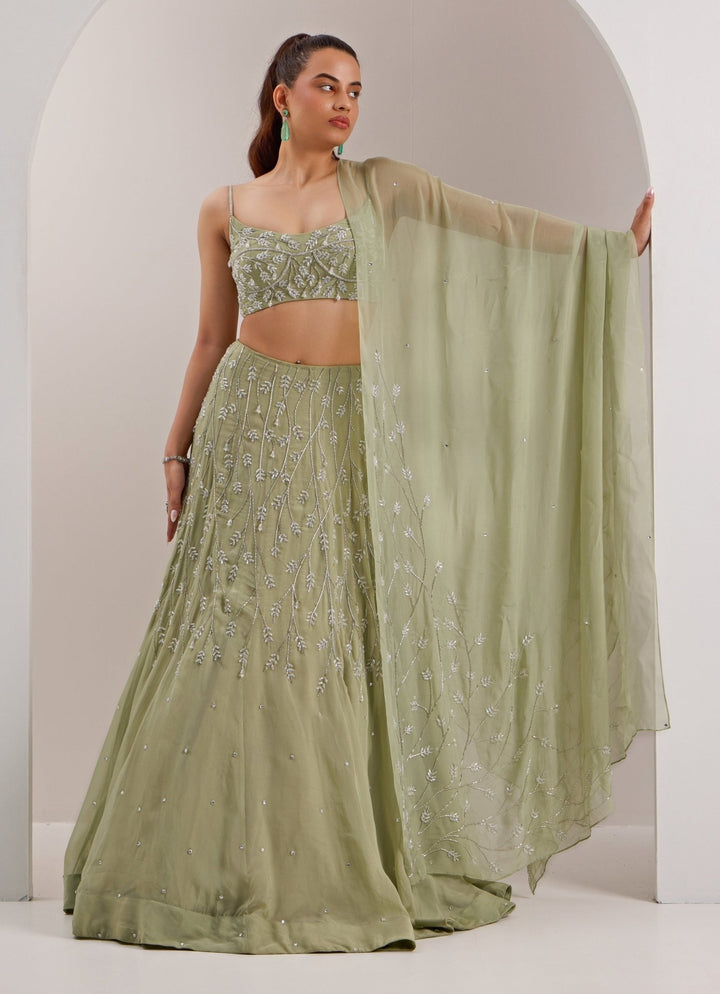 Mint Green Embellished Organza Lehenga Silky Bindra - Fabilicious Fashion