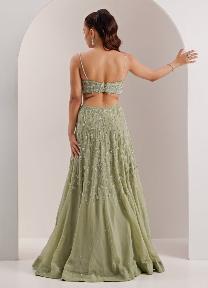 Mint Green Embellished Organza Lehenga Silky Bindra - Fabilicious Fashion