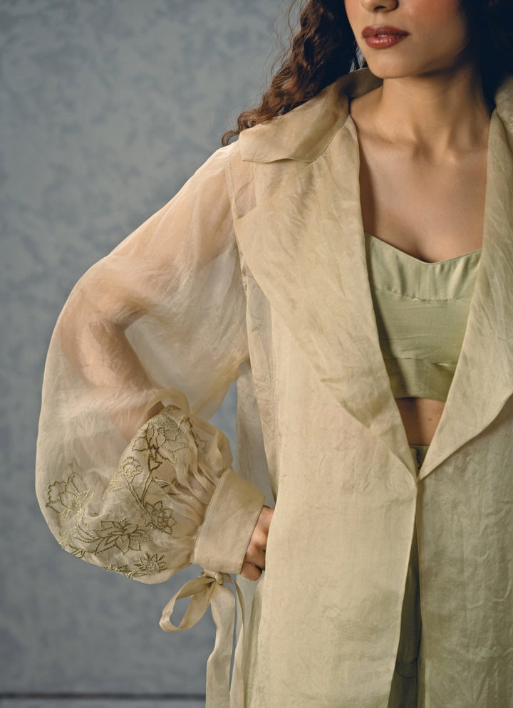 Paulmi and Harsh X Ease Mint Green Organza Pants Set With JacketFabilicious Fashion
