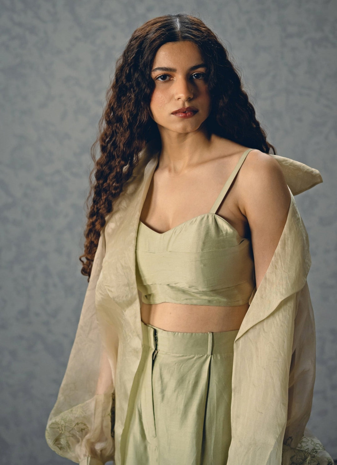 Paulmi and Harsh X Ease Mint Green Organza Pants Set With JacketFabilicious Fashion