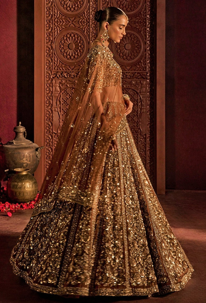 Mocha Brown Embroidered Soft Net Lehenga Set Prevasu - Fabilicious Fashion