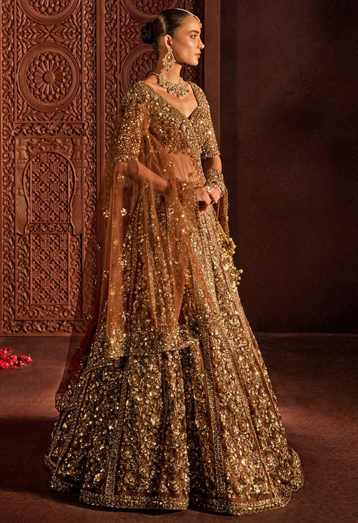 Mocha Brown Embroidered Soft Net Lehenga Set Prevasu - Fabilicious Fashion