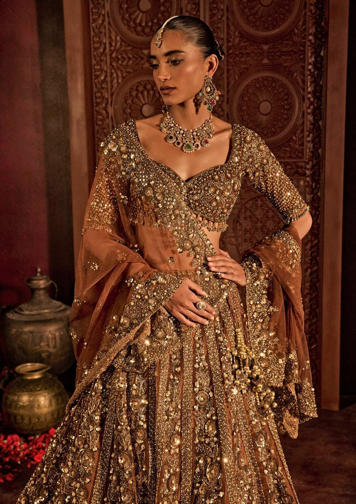Mocha Brown Embroidered Soft Net Lehenga Set Prevasu - Fabilicious Fashion