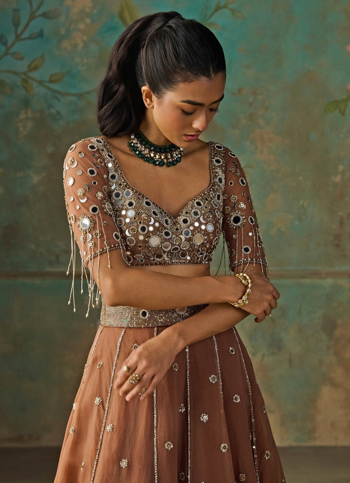 Zoon Tribe Mocha Brown Silk Organza Lehenga SetFabilicious Fashion