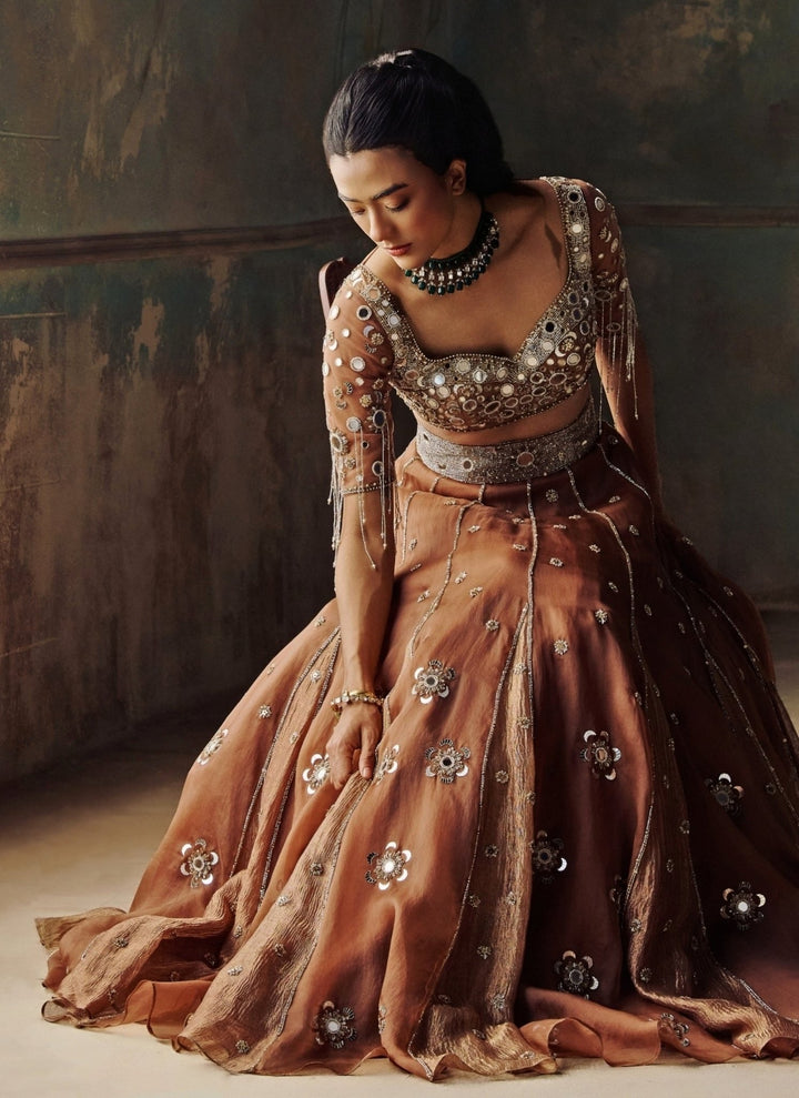 Zoon Tribe Mocha Brown Silk Organza Lehenga SetFabilicious Fashion