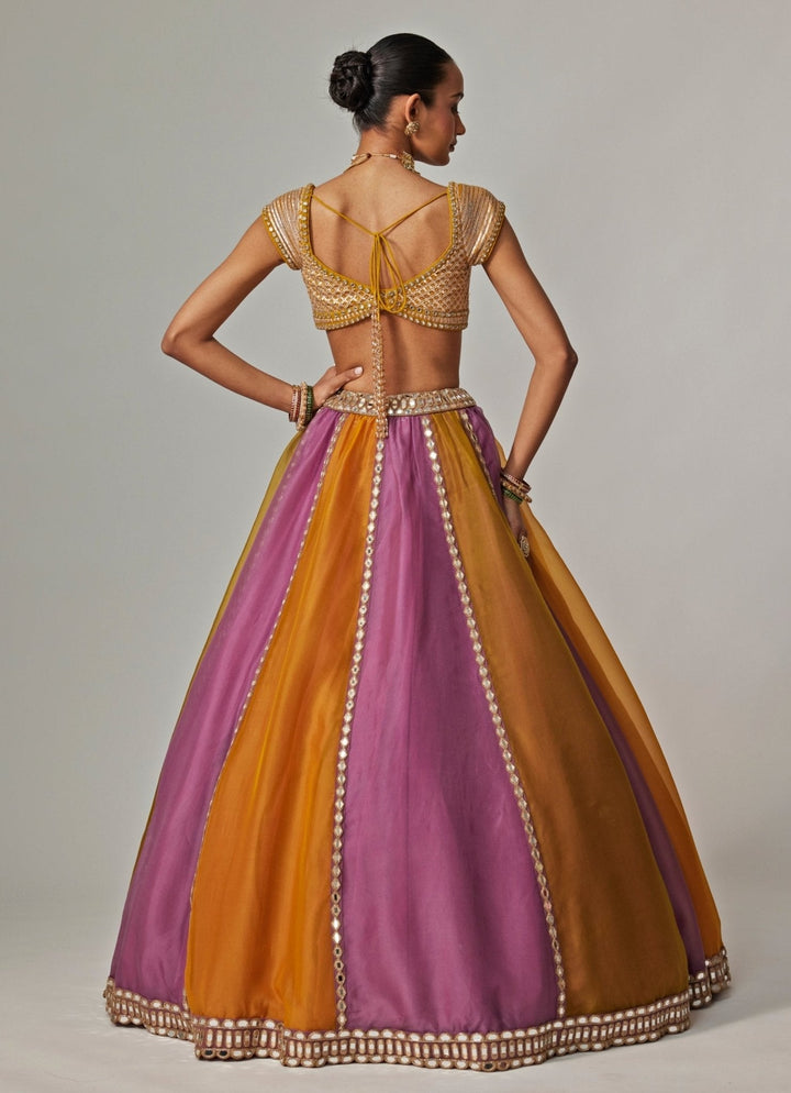 Mustard Yellow Multicolour Linear Embroidered Lehenga Set Vvani by Vani Vats - Fabilicious Fashion