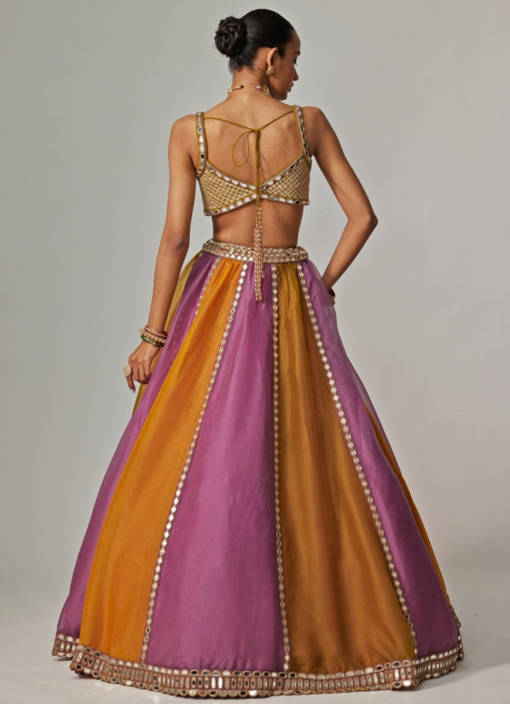 Mustard Yellow Multicolour Linear Embroidered Lehenga Set Vvani by Vani Vats - Fabilicious Fashion
