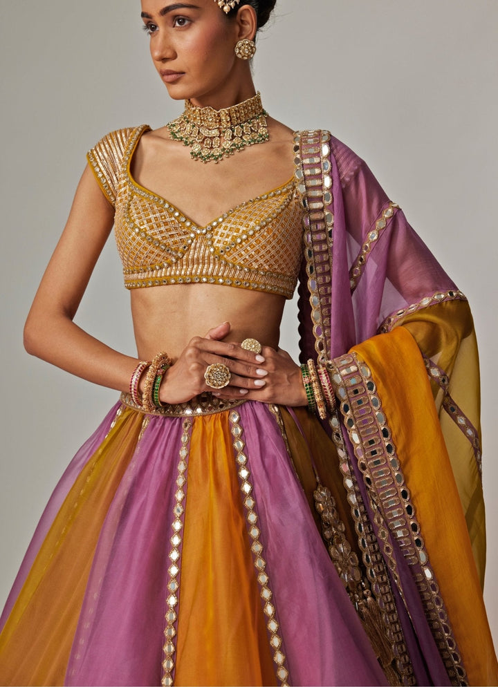 Mustard Yellow Multicolour Linear Embroidered Lehenga Set Vvani by Vani Vats - Fabilicious Fashion