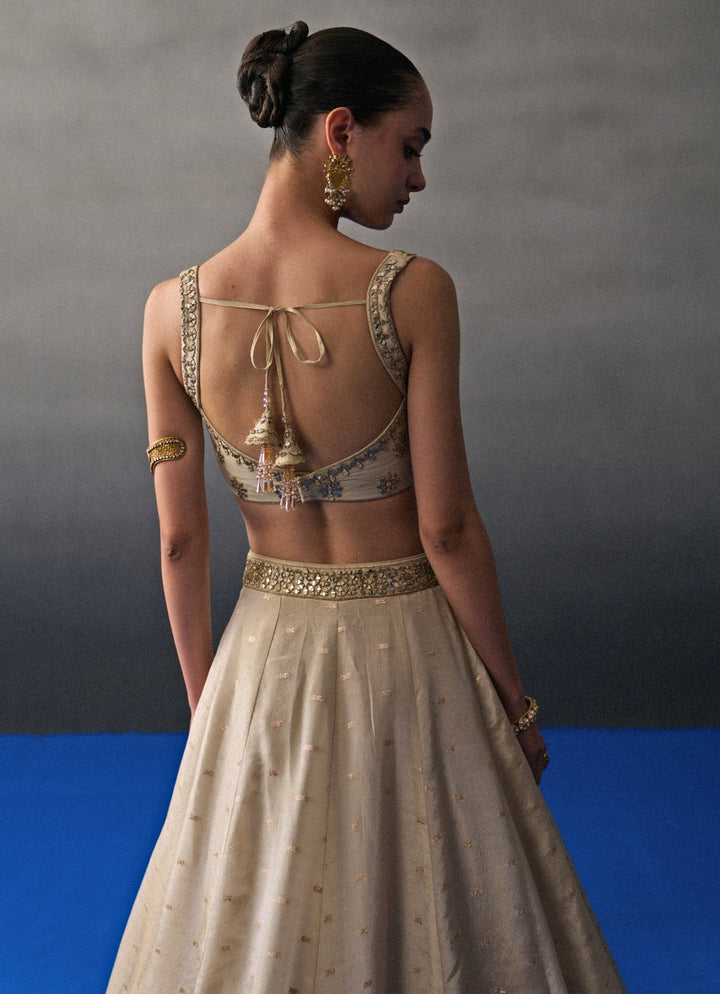 Muted Gold Banarasi Silk Lehenga Set Angad Singh - Fabilicious Fashion