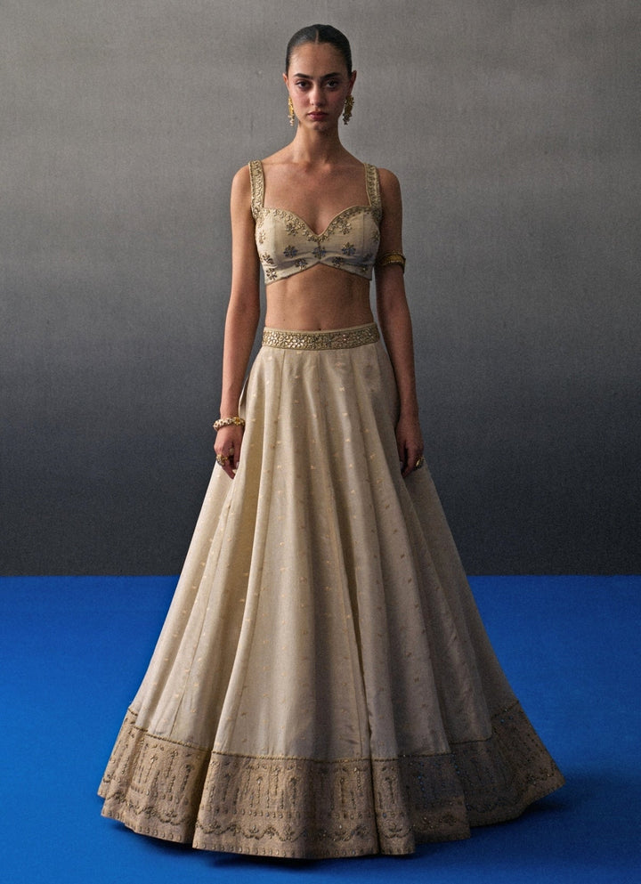 Muted Gold Banarasi Silk Lehenga Set Angad Singh - Fabilicious Fashion