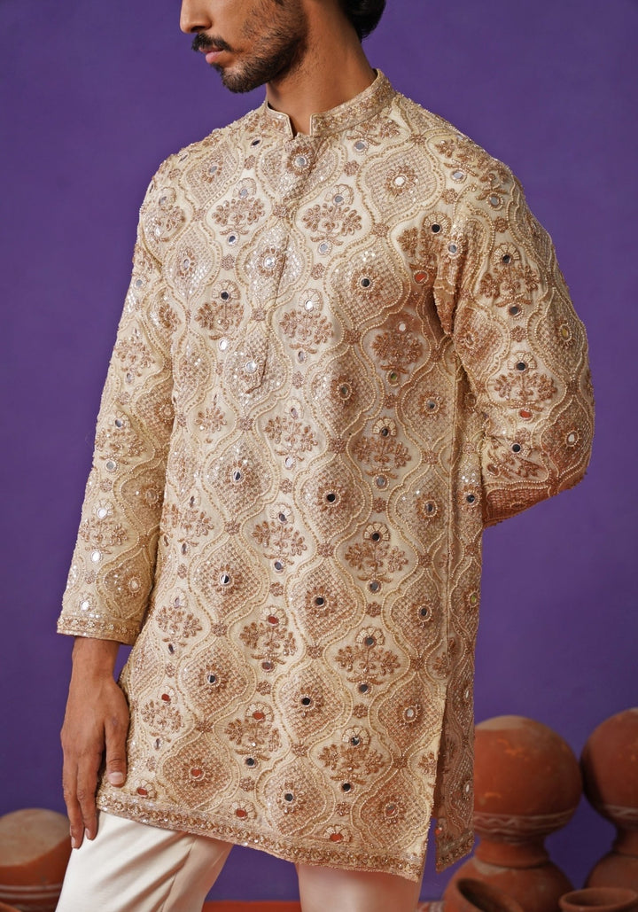 Muted Gold Tissue Silk Short Kurta Set Kalpraag - Fabilicious Fashion