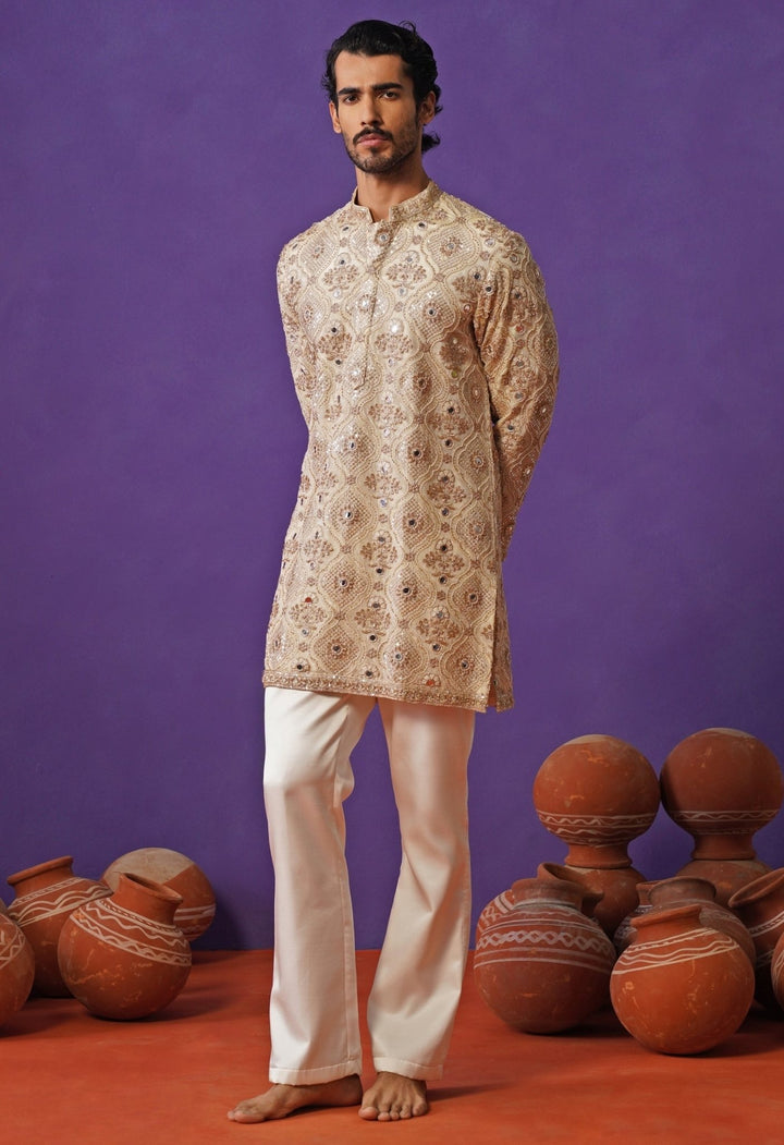 Muted Gold Tissue Silk Short Kurta Set Kalpraag - Fabilicious Fashion