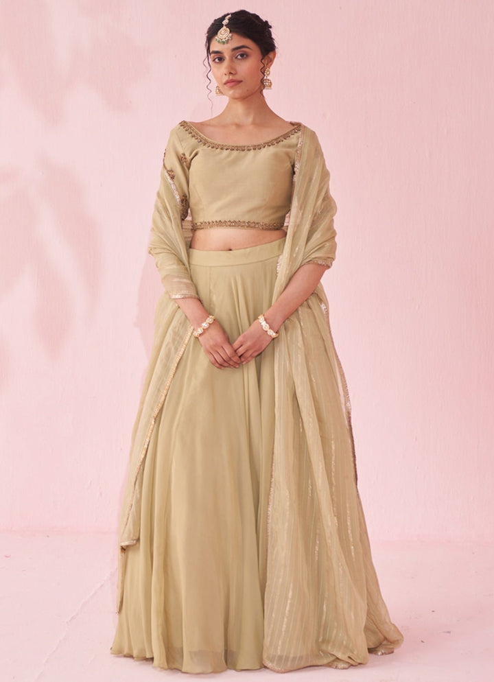 Muted Green Embroidered Organza Lehenga Set Studio Bagechaa - Fabilicious Fashion