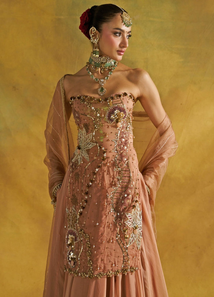 Rishi and Vibhuti Muted Rust Embroidered Organza Kurta Lehenga SetFabilicious Fashion